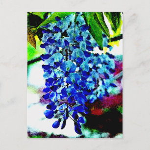 Blue Wisteria Postkarte