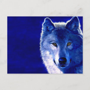 Blue Wolf Postkarte