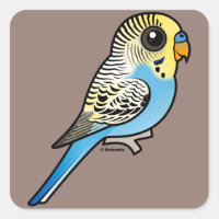 Blue & Yellow Budgie