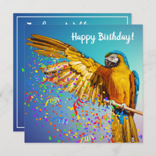 Blue & Yellow Macaw Throws Confetti