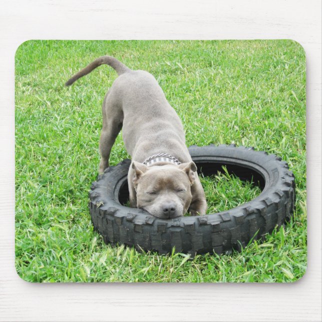 Blue Young Staffordshire Bull Terrier, Mousepad (Vorne)