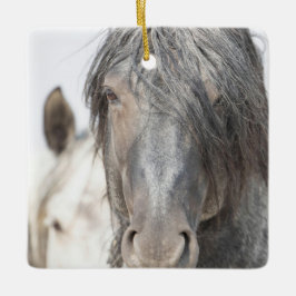Blue Zeus and Iris Wild Hoofbeats Ornament
