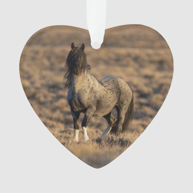 Blue Zeus at Dawn Wild Hoofbeats Ornament (Vorderseite)