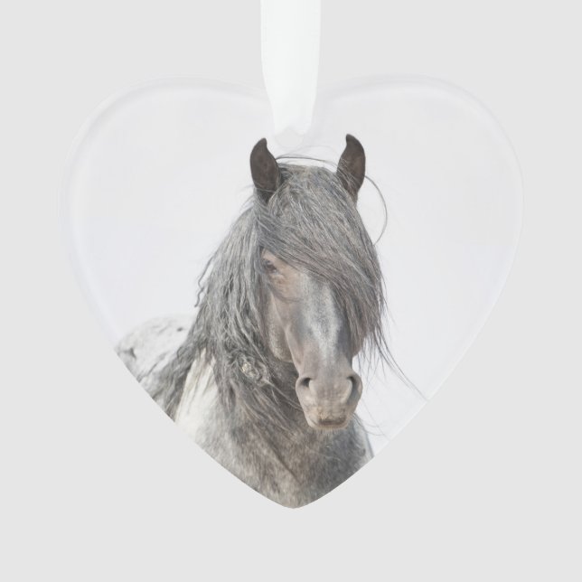Blue Zeus Heart Wild Hoofbeats Ornament (Vorderseite)