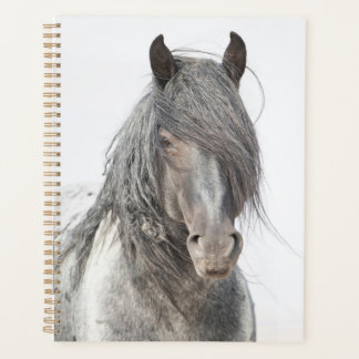 Blue Zeus Planner Planer