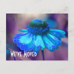 Blue Zinnia New Address Floral Postkarte