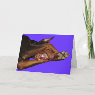 bluebaron karte
