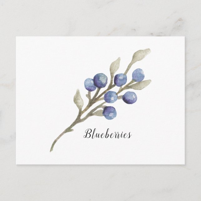 Bluebeeren auf Zweigfarbenpostkarte Postkarte (Vorderseite)