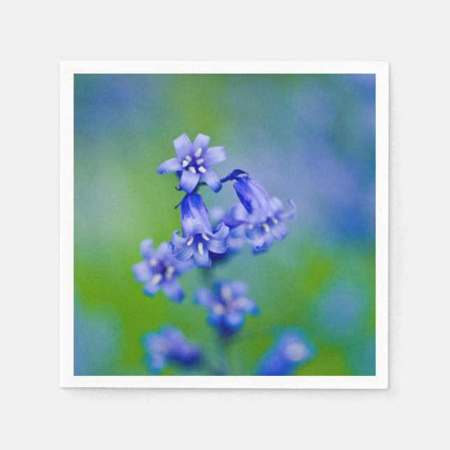 Bluebell Blume Cocktail Papierservietten (Vorderseite)