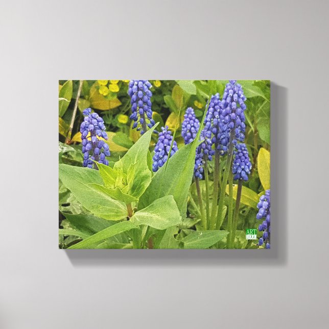 Bluebell Blume Foto drucken auf Leinwand (Vorderseite)