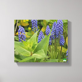 Bluebell Blume Foto drucken auf Leinwand