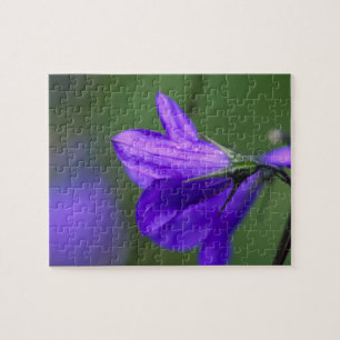 Bluebell Blume in Unabhängigkeit Pass in Puzzle