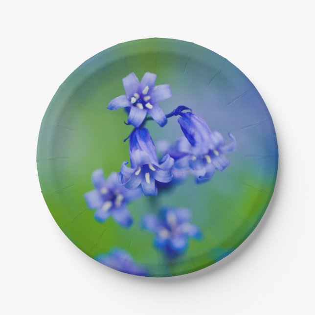 Bluebell Blume Paper Teller (Vorderseite)