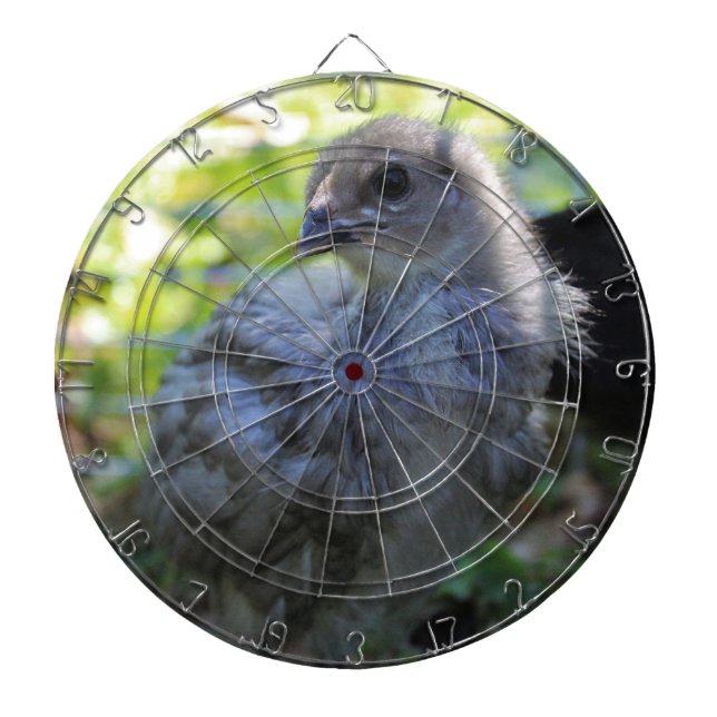 Bluebell Dartscheibe (vorne)