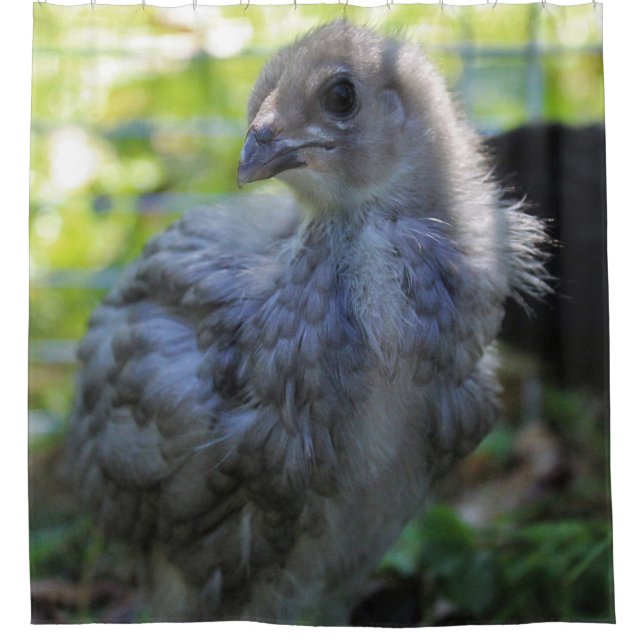 Bluebell Duschvorhang (Vorderseite)