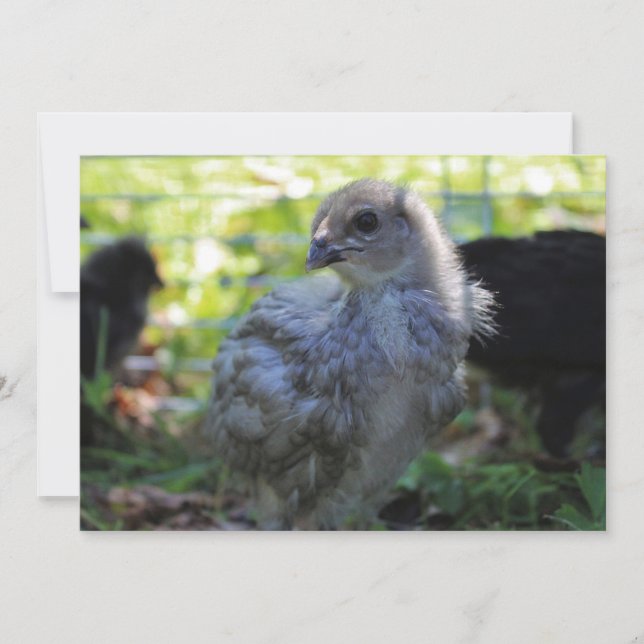 Bluebell Einladung (Vorderseite)