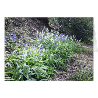Bluebell-Holz-Karte mit 3 Fotos