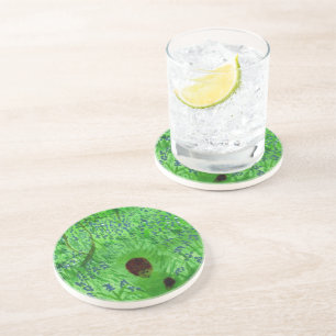 Bluebell Igels Spring Woodland Sandstein Untersetzer