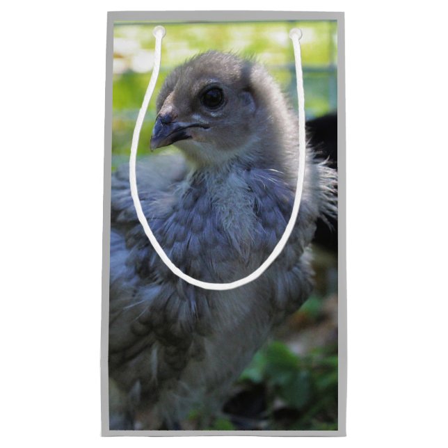 Bluebell Kleine Geschenktüte (Vorderseite)