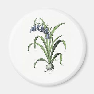 Bluebell Magnet