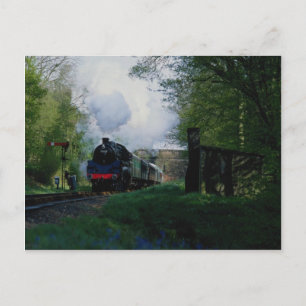 Bluebell Railway, West Sussex, Großbritannien Postkarte