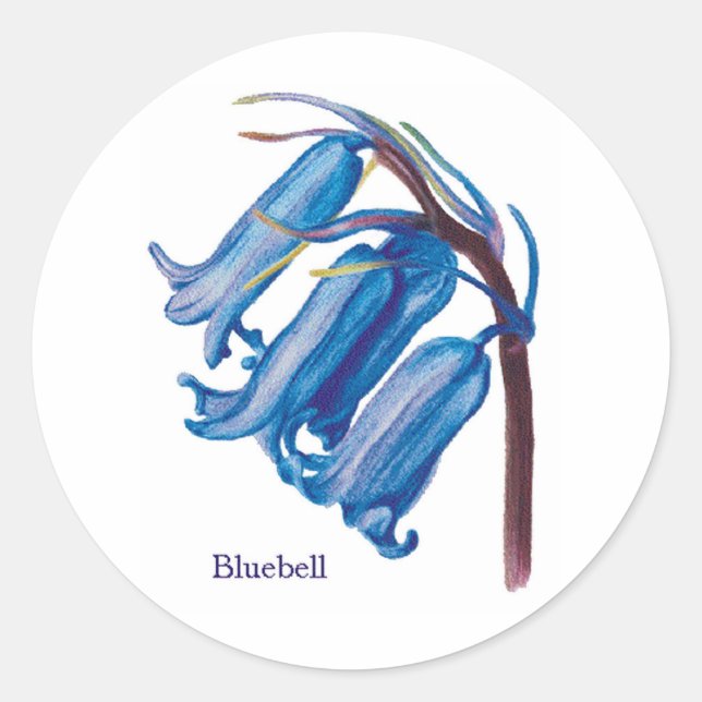 Bluebell Runder Aufkleber (Vorderseite)