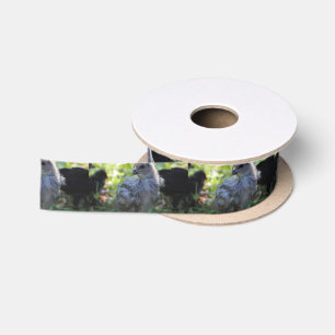 Bluebell Satinband