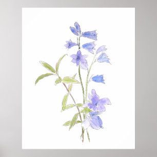 Bluebell und Violett in und Aquarell Poster