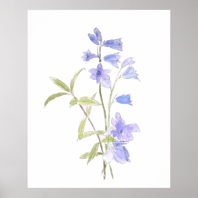 Bluebell und Violett in und Aquarell Poster (Vorne)