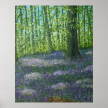 Bluebell Wood Poster