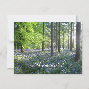 Bluebell Woods in Abend Sunshine - Personalisiert Postkarte