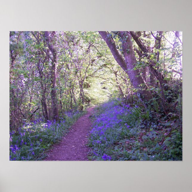Bluebell Woods Print Poster (Vorne)