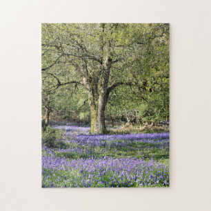 Bluebell Woods Puzzle
