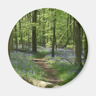 Bluebellholz Magnet
