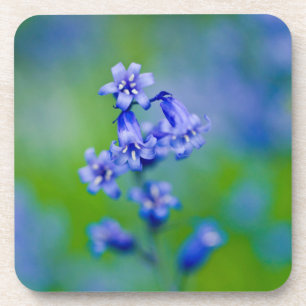 Bluebells Blume Untersetzer