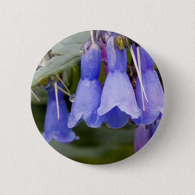 Bluebells Button (Vorderseite)