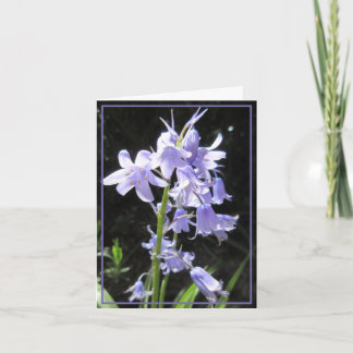Bluebells Card Karte