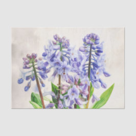 BLUEBELLS-Entpackpapier Seidenpapier