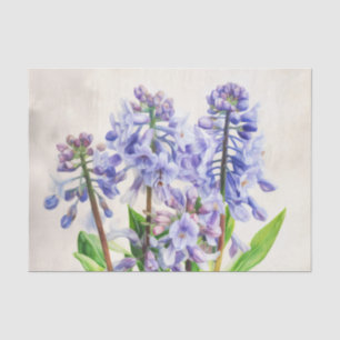 BLUEBELLS-Entpackpapier Seidenpapier