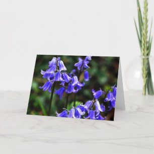 Bluebells fraktaliert karte