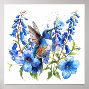 Bluebells Hummingbird Aquarellfarben Print Poster