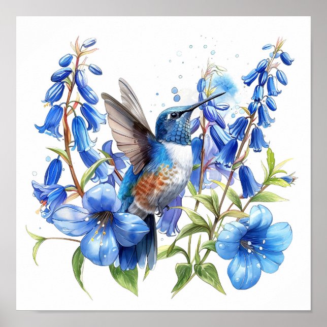 Bluebells Hummingbird Aquarellfarben Print Poster (Vorne)