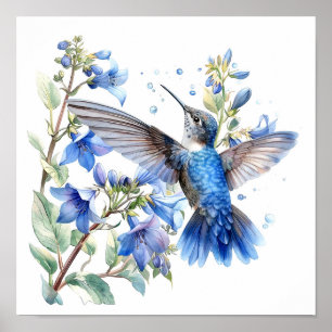Bluebells Hummingbird Aquarellfarben Print Poster