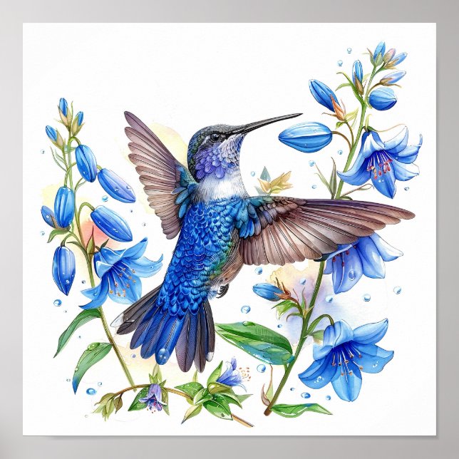 Bluebells Hummingbird Aquarellfarben Print Poster (Vorne)