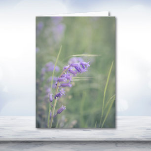 Bluebells im Windstil Karte