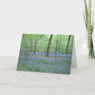 Bluebells in einem Holz Karte