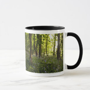 Bluebells in einem Wald Tasse