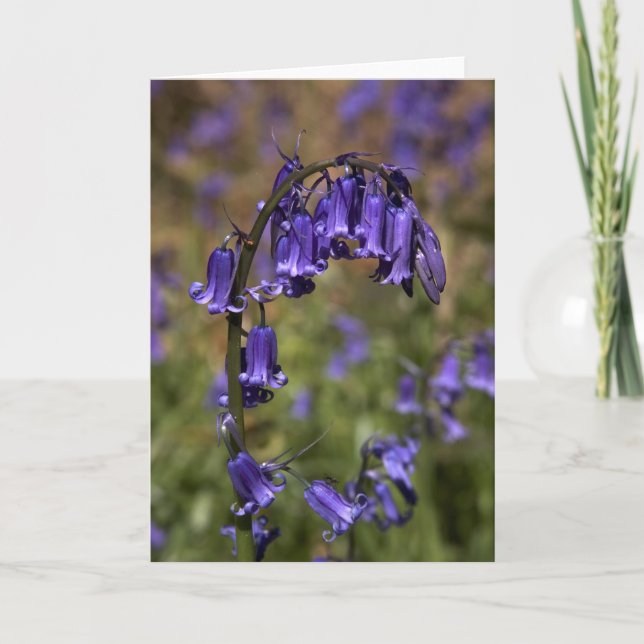 Bluebells kardieren durch cARTerART Karte (Vorderseite)