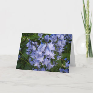 Bluebells Karte
