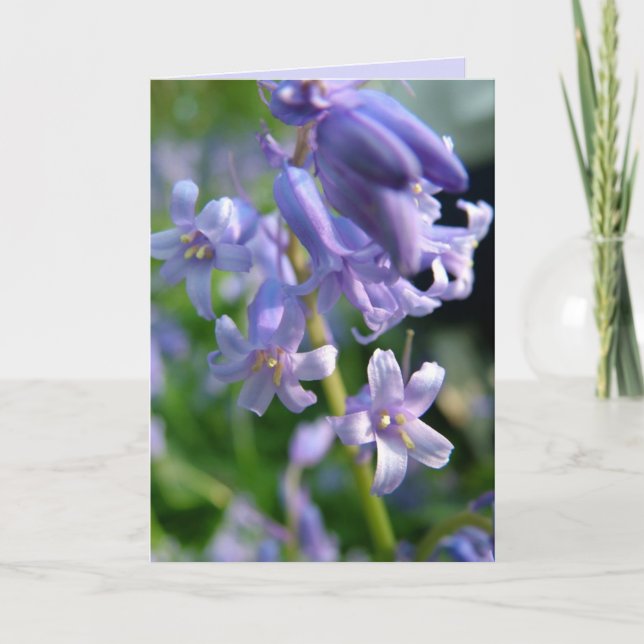 Bluebells Karte (Vorderseite)